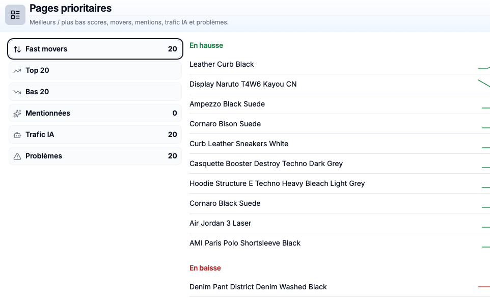Priority pages: fast movers, top and bottom 20, mentions, AI traffic and issues, catalog synced from Shopify